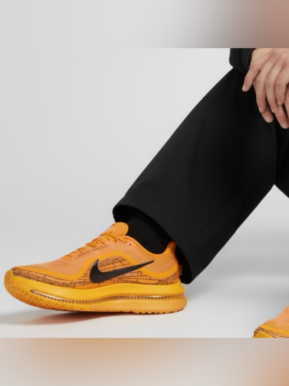 ✔️New✔️ NIKE Pegasus Premium LV8 'Modern Mayfly Pack'